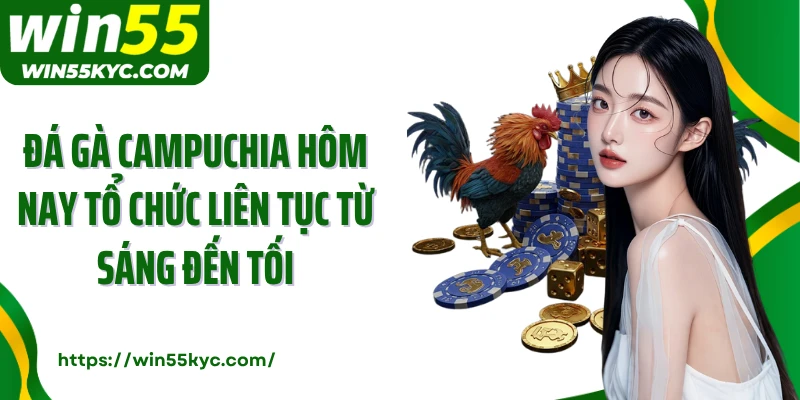 Đá gà Campuchia hôm nay tổ chức liên tục từ sáng đến tối